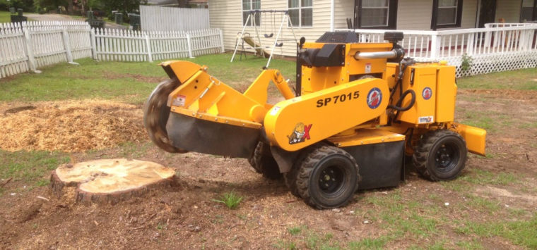 tree stump removal