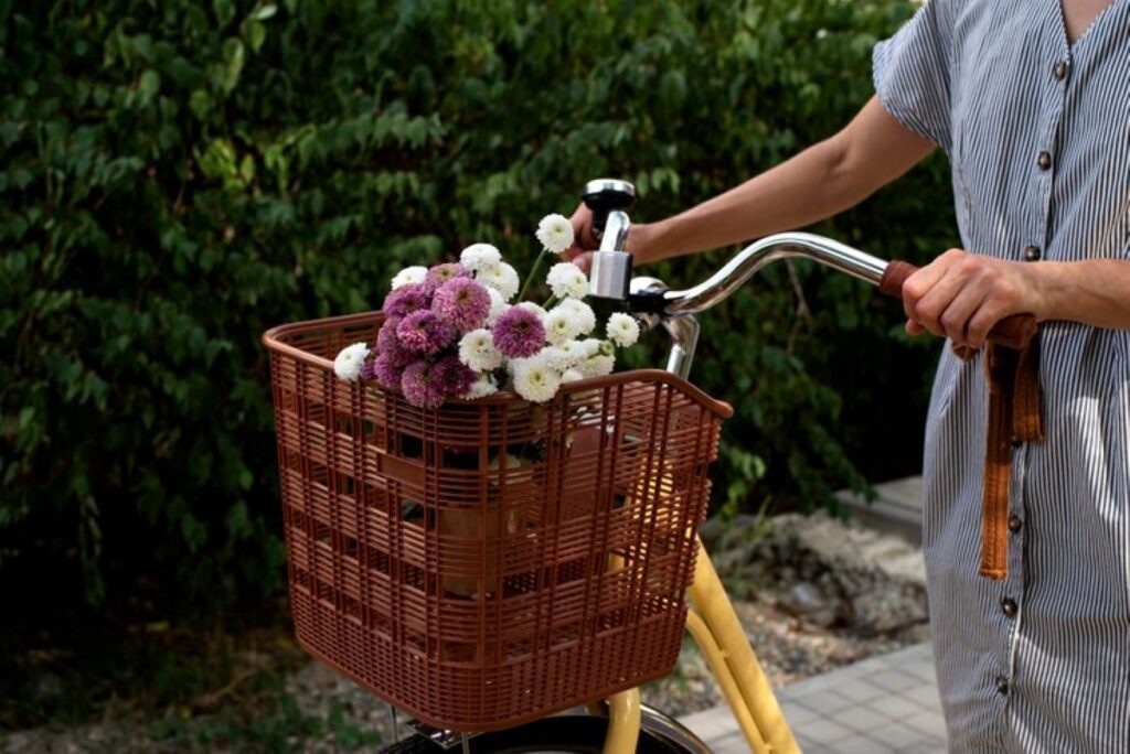 cammeray florist