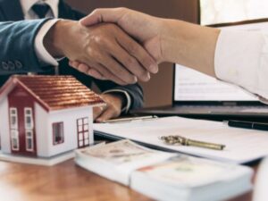 What Fee Structures a Financial Advisor in Bentleigh May Use